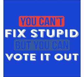 You Can't Fix Stupid But You Can Vote It Out Mask