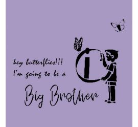 Big Brother