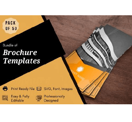 50 Brochure Design Templates Bundle