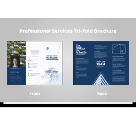 professional-services-marketing-brochure-back-10-01.jpg