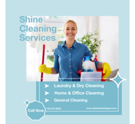 Shine Cleaning Service (800x800)