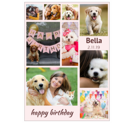 Happy Birthday Bella Photo Collage (5x7)