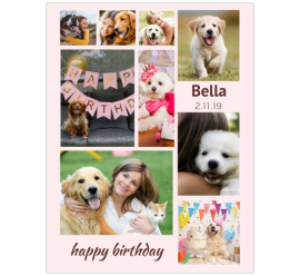 Happy Birthday Bella Photo Collage (8.5x11) 