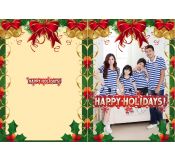 Happy Holidays Greeting Card 