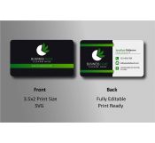Green and Black Business Card