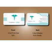 Professional Company Business Card 